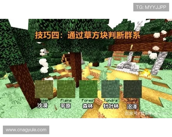 PA娱乐网为玩家提供的游戏攻略视频与实用技巧教学合集